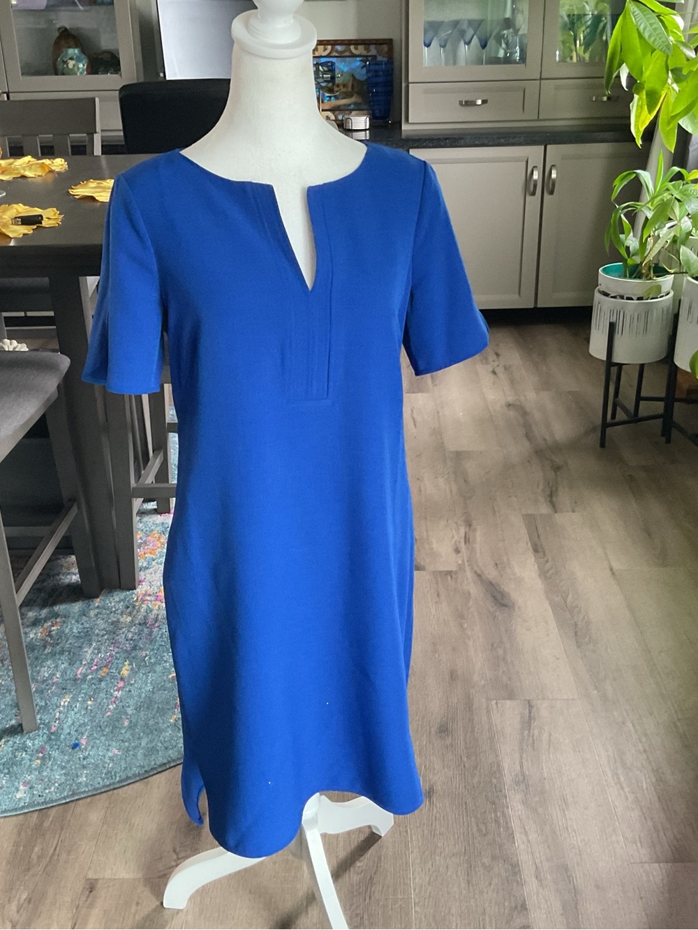 Adrianna Papell Royal Blue Dress with Gold Zip Trim